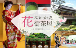 2020年春～夏　古町芸妓の舞を鑑賞できる「新潟花街茶屋」開催