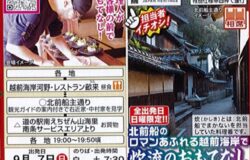【南越前町】（ツアー）特別仕様車で行く　北前船日本遺産のロマンあふれる越前海岸で炊流のおもてなし